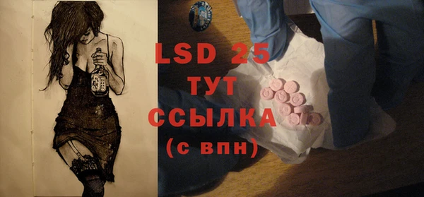 молекула духа Вяземский