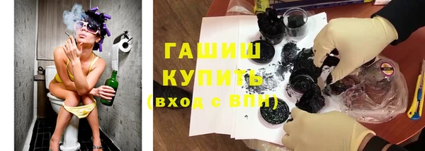молекула духа Вяземский
