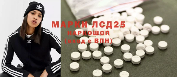молекула духа Вяземский