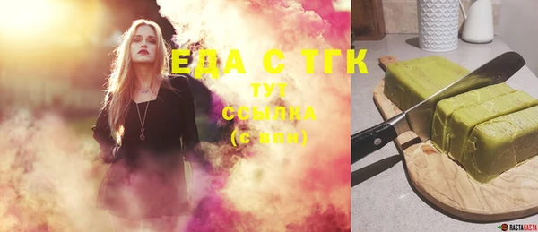 молекула духа Вяземский