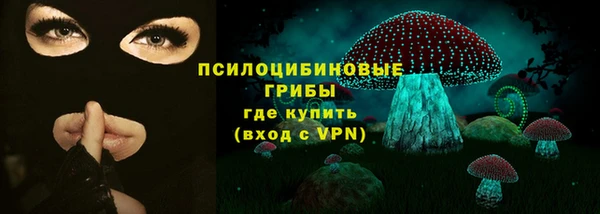 ПСИЛОЦИБИНОВЫЕ ГРИБЫ Вязники
