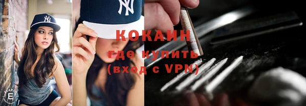 ПСИЛОЦИБИНОВЫЕ ГРИБЫ Вязники