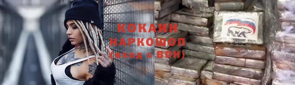 ПСИЛОЦИБИНОВЫЕ ГРИБЫ Вязники