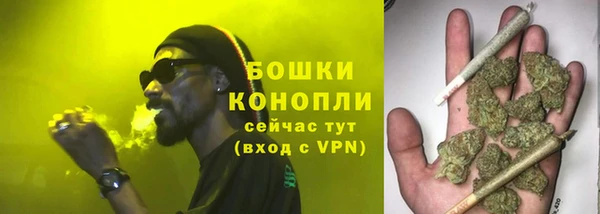 ПСИЛОЦИБИНОВЫЕ ГРИБЫ Вязники