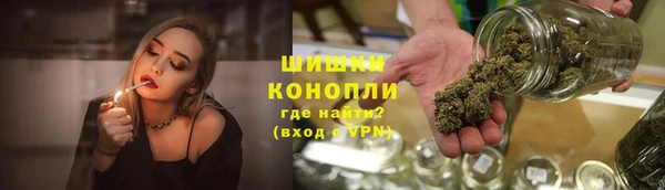 молекула духа Вяземский