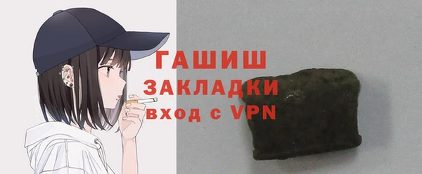 молекула духа Вяземский