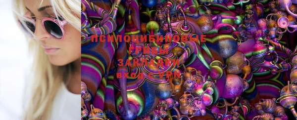 Альфа ПВП Вязьма