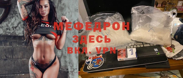 молекула духа Вяземский