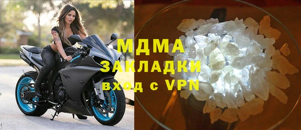 молекула духа Вяземский
