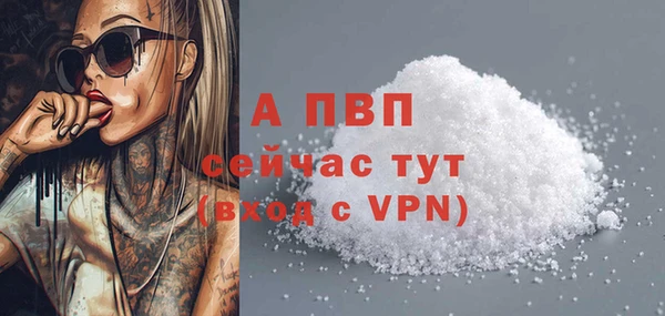 молекула духа Вяземский