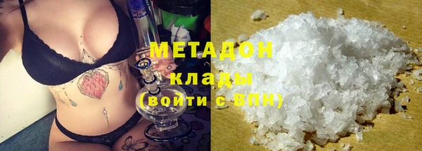 молекула духа Вяземский
