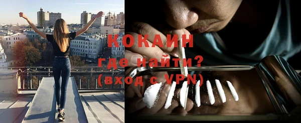 молекула духа Вяземский