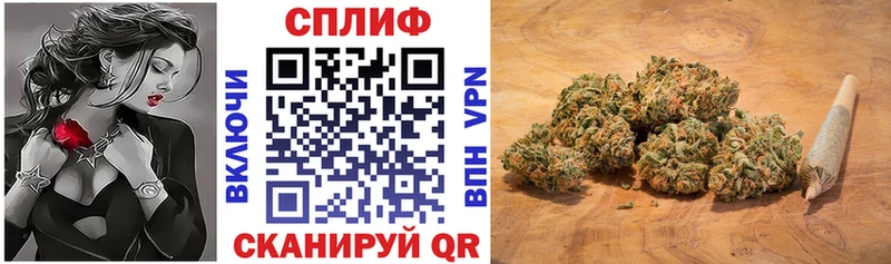 omg как зайти  Зверево  Бошки Шишки семена 
